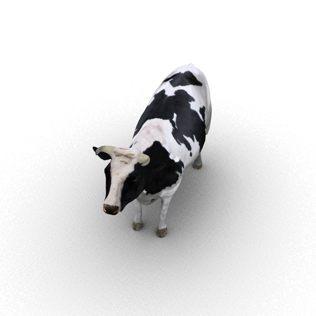 3d cow rigged model