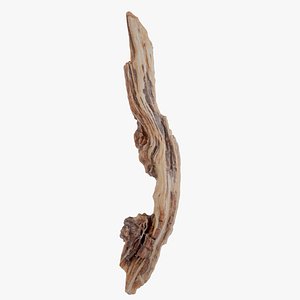 3D Weathered Driftwood Branch Wood