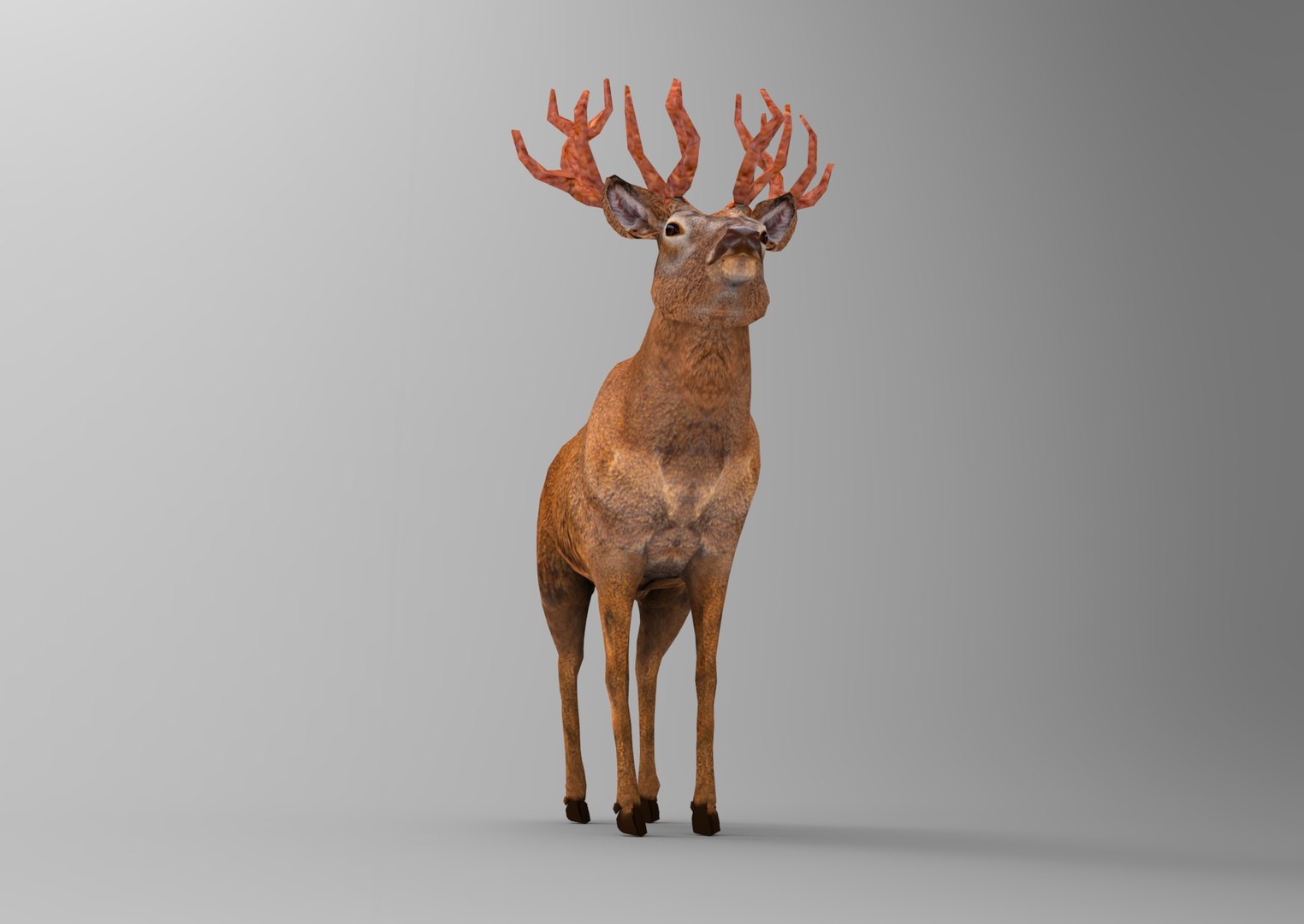 deer ready obj https://p.turbosquid.com/ts-thumb/wM/aL0FFm/6qM1Gemy/deer.626/jpg/1476019098/1920x1080/fit_q87/044da9e890434bbe5efabb6b4351fd193094d6ee/deer.626.jpg