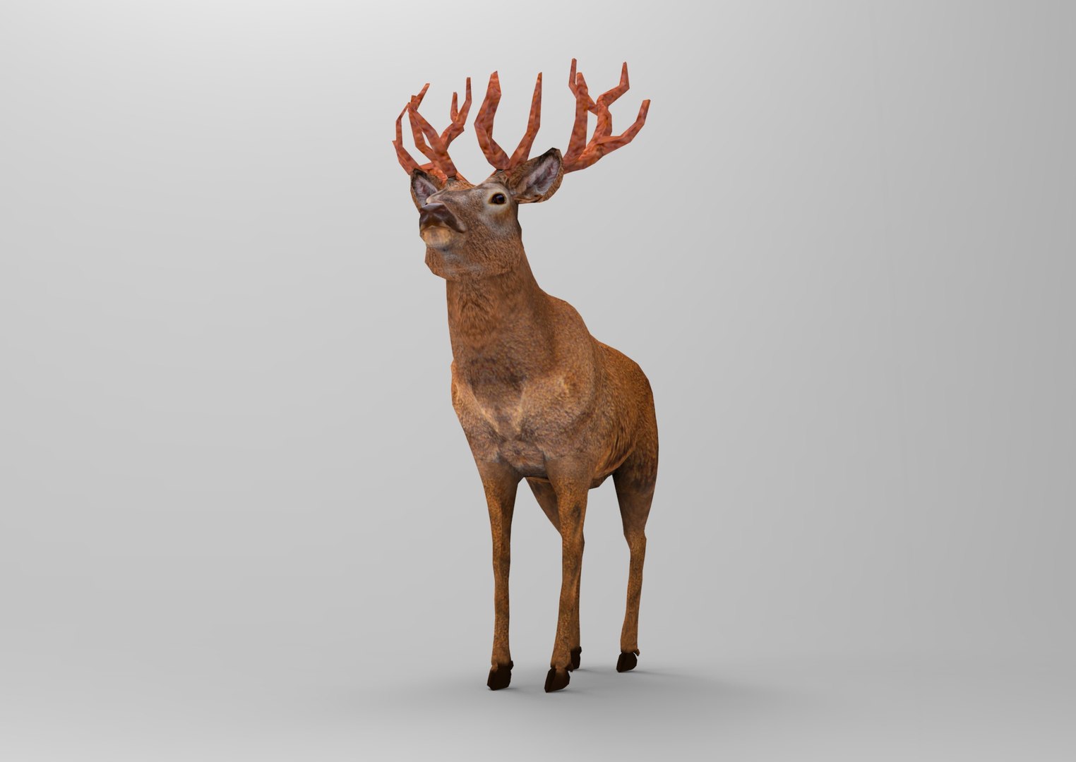 deer ready obj https://p.turbosquid.com/ts-thumb/wM/aL0FFm/IRfje45E/deer.627/jpg/1476019253/1920x1080/fit_q87/1dd4bc1b34d1f070e316b1e8200317c31cde5264/deer.627.jpg