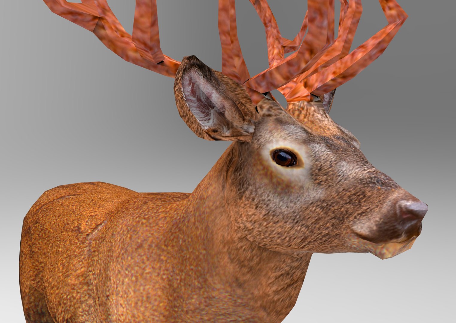 deer ready obj https://p.turbosquid.com/ts-thumb/wM/aL0FFm/SWinBIIe/deer.630/jpg/1476019253/1920x1080/fit_q87/33683fbcca7d40d221d0ecce220cd99dc0728b3d/deer.630.jpg