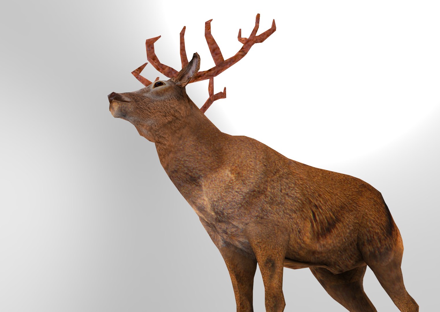 deer ready obj https://p.turbosquid.com/ts-thumb/wM/aL0FFm/q06XeUft/deer.633/jpg/1476019253/1920x1080/fit_q87/c398252e05e758a9551d3c1e84c958f878070158/deer.633.jpg