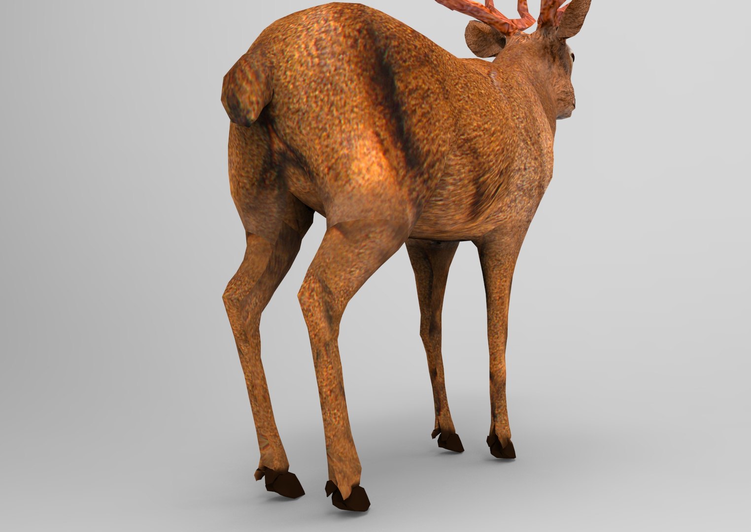 deer ready obj https://p.turbosquid.com/ts-thumb/wM/aL0FFm/x65ihwWO/deer.636/jpg/1476019253/1920x1080/fit_q87/ad77c7052eac913306407c769346e3be0cb225f1/deer.636.jpg