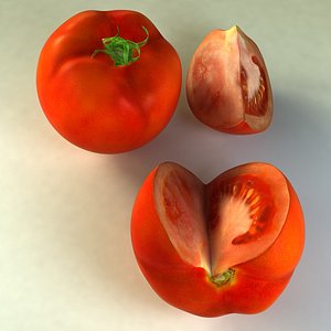 tomato 3d model