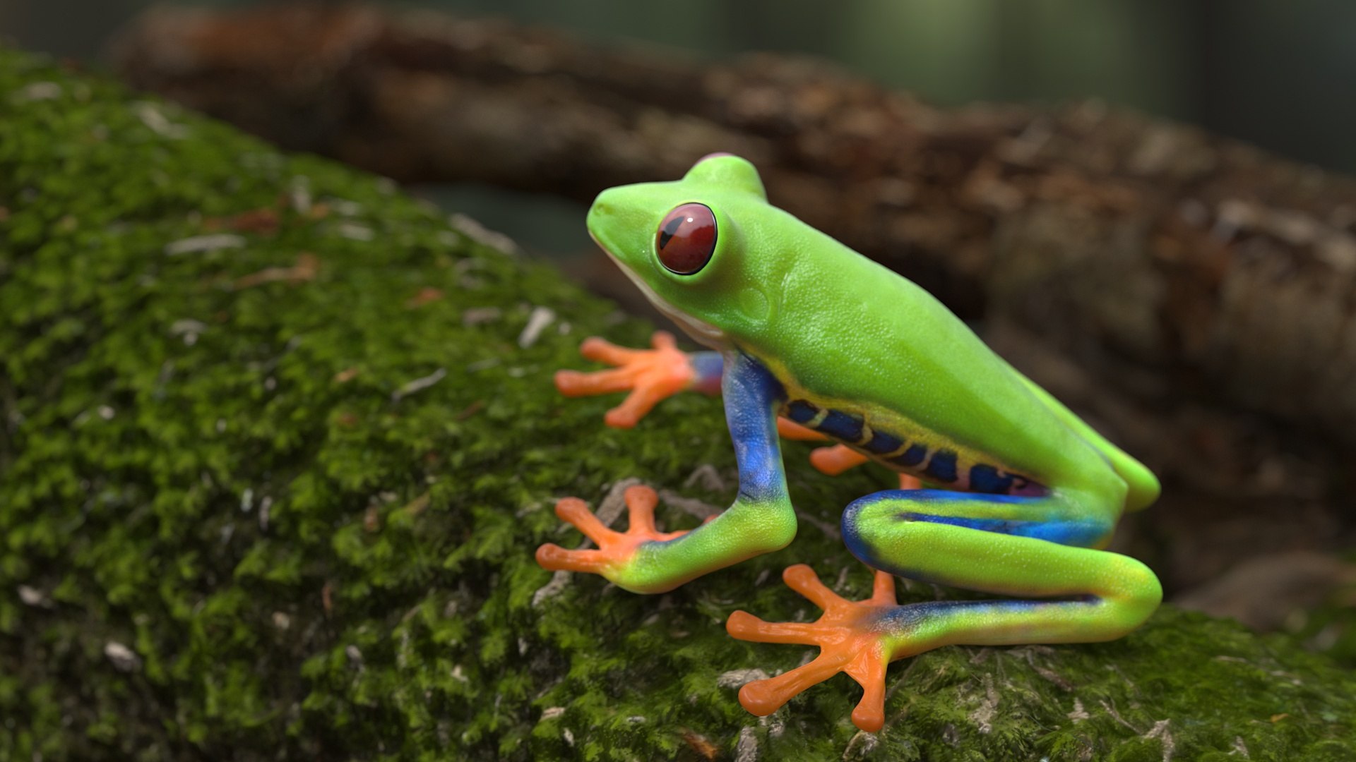 Red-Eyed Tree Frog 3D model https://p.turbosquid.com/ts-thumb/wM/iNlVCg/3o/redeyedtreefrogc4dmodel003/jpg/1724309287/1920x1080/fit_q87/c1126663ec3da9a65560d532c953596836252de2/redeyedtreefrogc4dmodel003.jpg