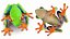 Red-Eyed Tree Frog