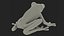Red-Eyed Tree Frog