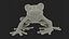Red-Eyed Tree Frog