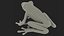 Red-Eyed Tree Frog