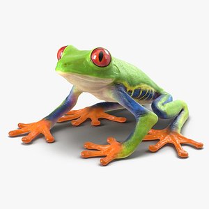 Red-Eyed Tree Frog 3D model