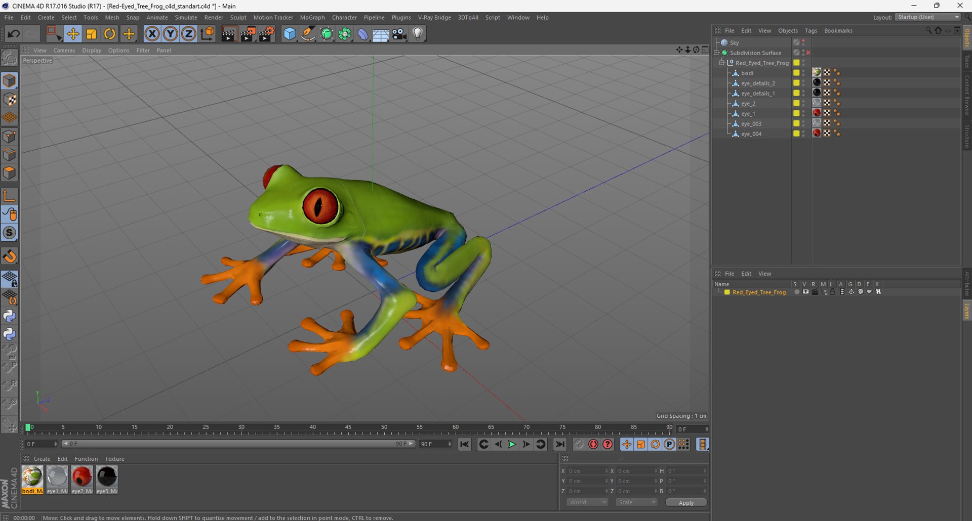 Red-Eyed Tree Frog 3D Model - TurboSquid 2271138