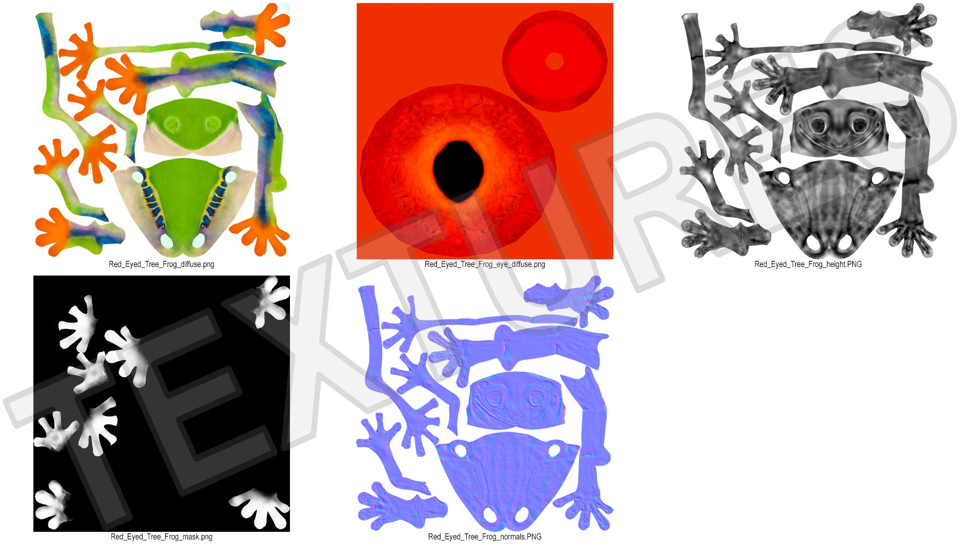 Red-Eyed Tree Frog 3D model https://p.turbosquid.com/ts-thumb/wM/iNlVCg/jN/redeyedtreefrogc4dmodel020/jpg/1724309365/1920x1080/fit_q87/8b19988ffbd59b79bb36577bf53c540ef0c9ff56/redeyedtreefrogc4dmodel020.jpg