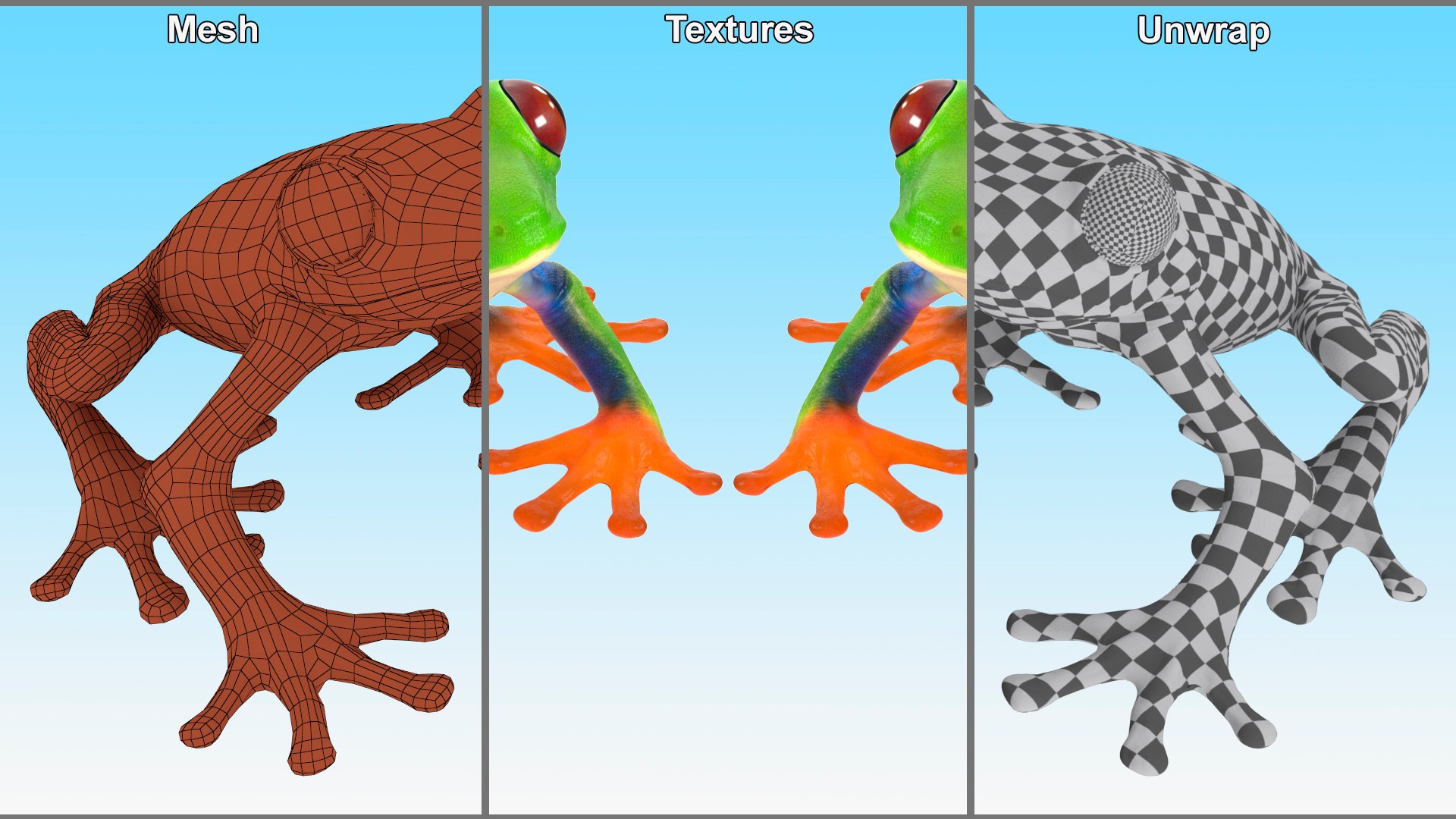 Red-Eyed Tree Frog 3D model https://p.turbosquid.com/ts-thumb/wM/iNlVCg/rf/redeyedtreefrogc4dmodel017/jpg/1724309350/1920x1080/fit_q87/ac02004c4f5ef5bbb682da02021d1d3c3249e674/redeyedtreefrogc4dmodel017.jpg