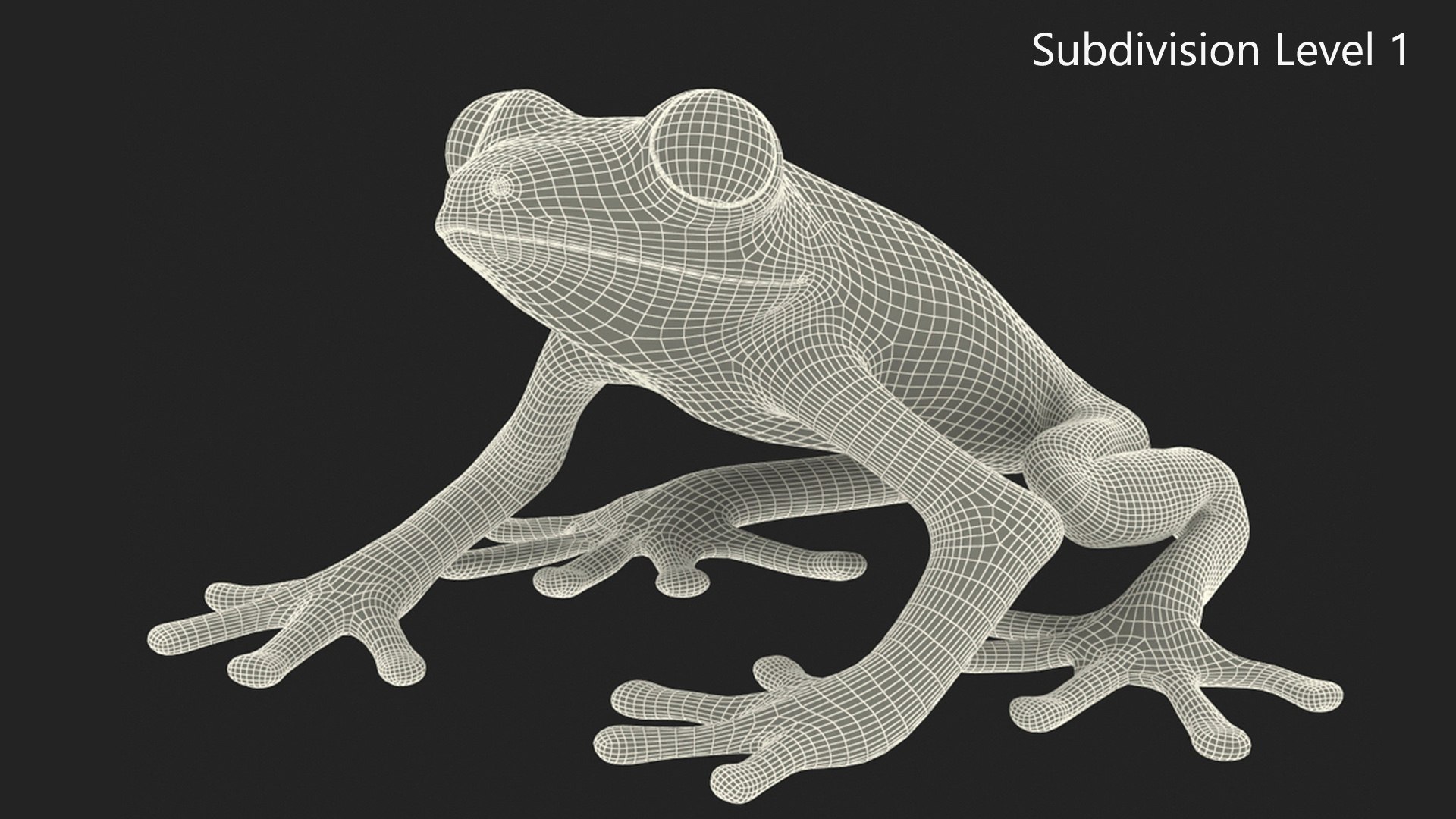 Red-Eyed Tree Frog 3D model https://p.turbosquid.com/ts-thumb/wM/iNlVCg/y8/redeyedtreefrogc4dmodel018/jpg/1724309355/1920x1080/fit_q87/b7dae344c6552b89b25ea0d155bd2721c8712255/redeyedtreefrogc4dmodel018.jpg