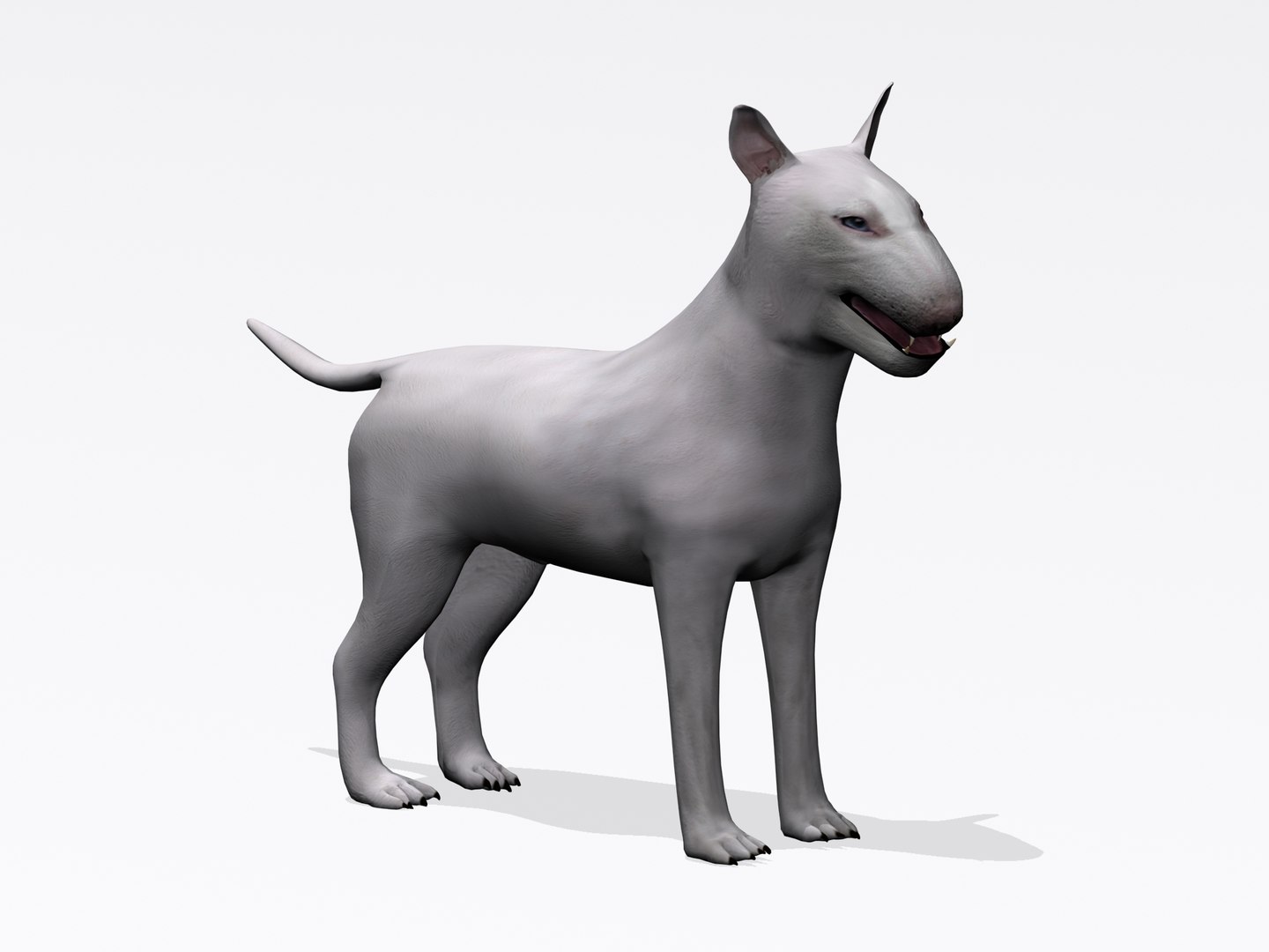 3d bull terrier https://p.turbosquid.com/ts-thumb/wM/lEXndw/JeR7UzWy/bt3/jpg/1363510031/1920x1080/fit_q87/d9d06fa9c85cce10562590a19b922f00c8fa81d0/bt3.jpg