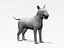 Bull terrier