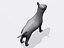 Bull terrier