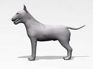 3d bull terrier