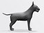 Bull terrier
