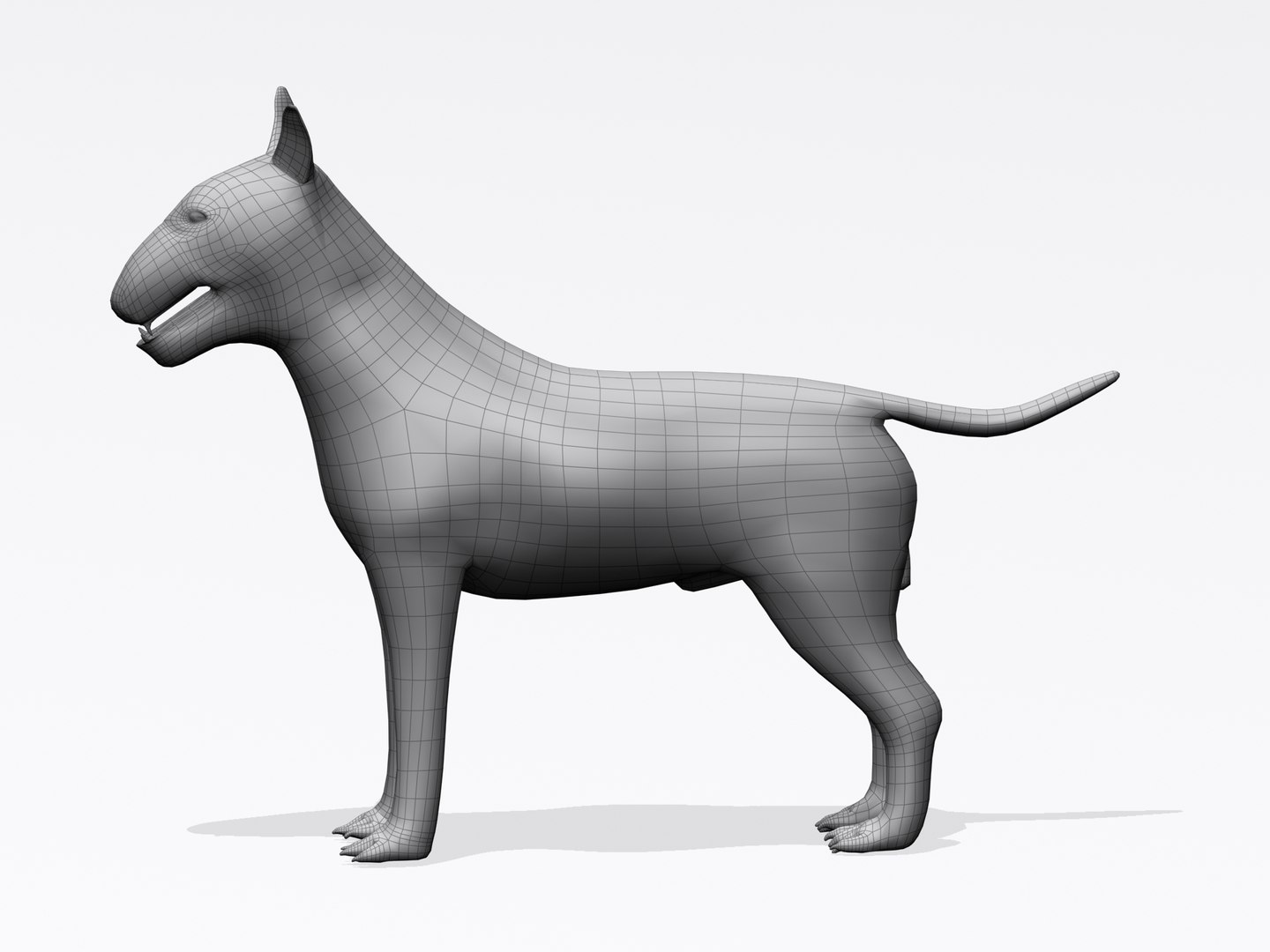 3d bull terrier https://p.turbosquid.com/ts-thumb/wM/lEXndw/ahXhVqmh/btwire1/jpg/1363510031/1920x1080/fit_q87/847f89c961048de157e73baf3238e2e1bb19456f/btwire1.jpg