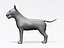 Bull terrier