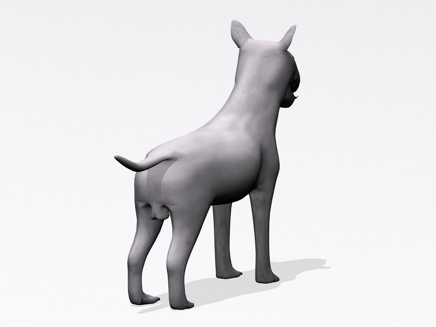 3d bull terrier https://p.turbosquid.com/ts-thumb/wM/lEXndw/cEMkLfyg/bt5/jpg/1363510031/1920x1080/fit_q87/53386874898a9a8758ee5ad7e48ff0964019f97e/bt5.jpg