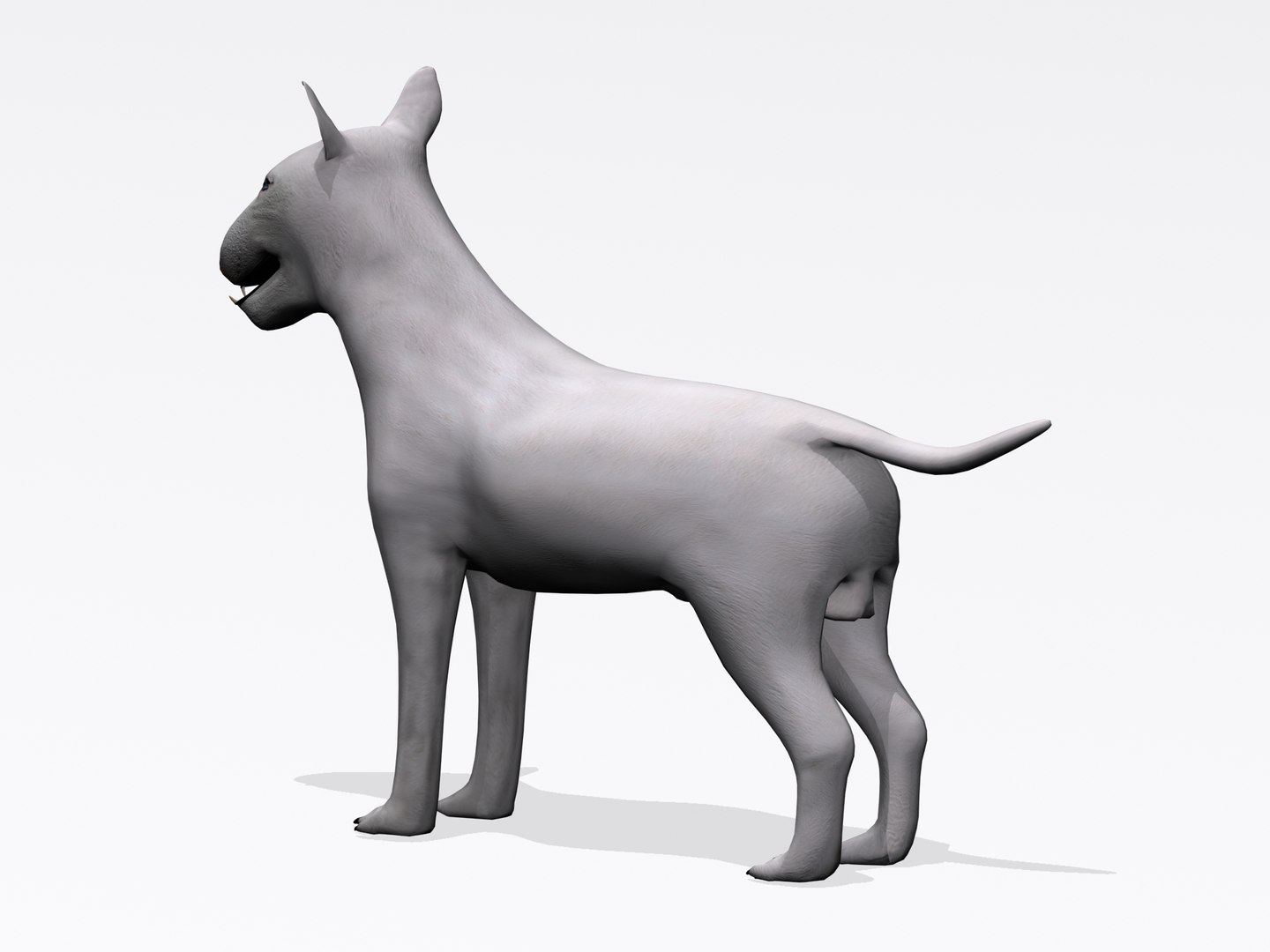 3d bull terrier https://p.turbosquid.com/ts-thumb/wM/lEXndw/wWATbA2x/bt6/jpg/1363510031/1920x1080/fit_q87/baebc6c89c1f4cb58c3e77c8b738efd31d053138/bt6.jpg