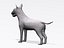 Bull terrier