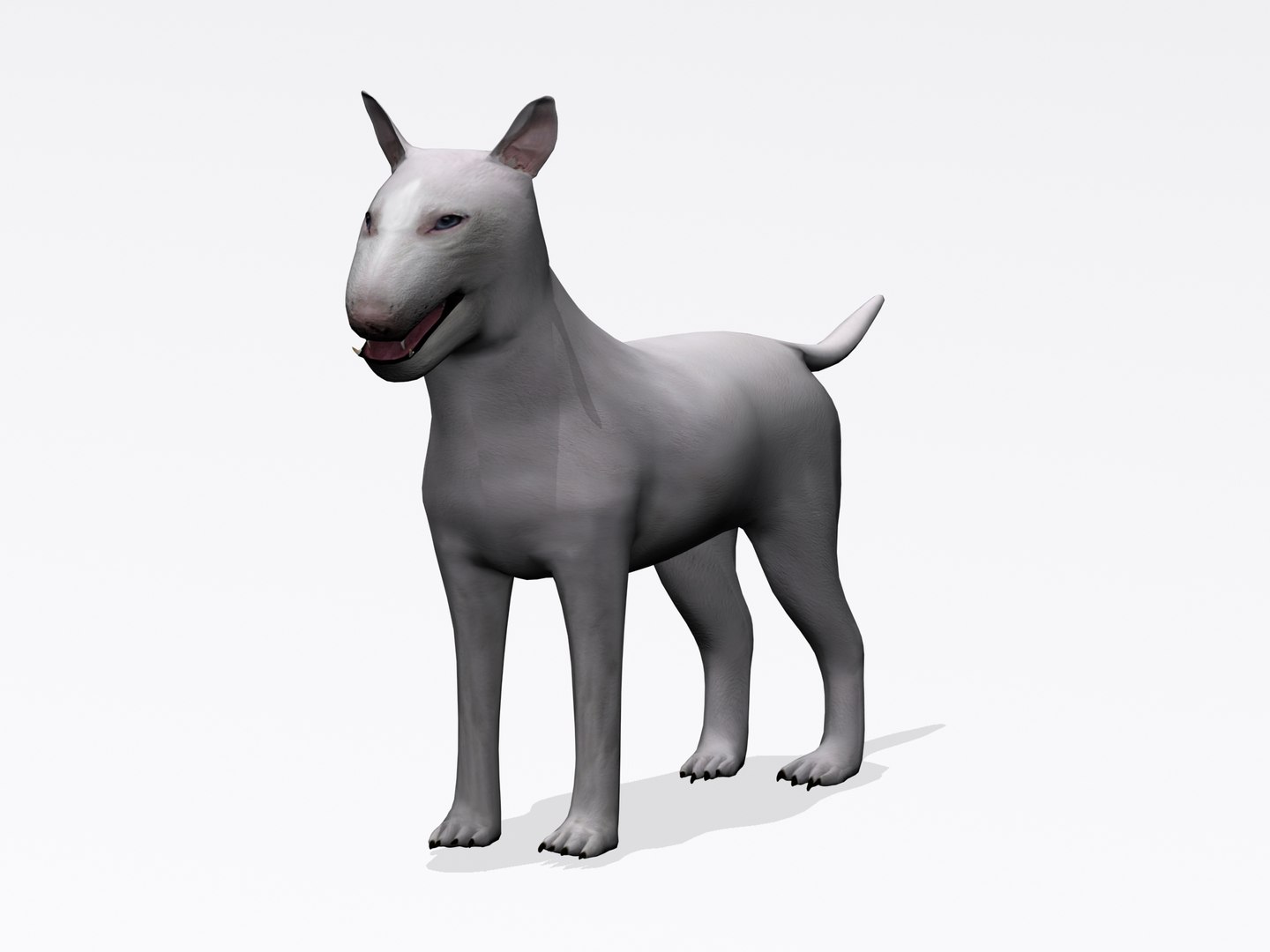 3d bull terrier https://p.turbosquid.com/ts-thumb/wM/lEXndw/zDv1xhTX/bt2/jpg/1363510031/1920x1080/fit_q87/bde58d8c96afd98a8115c65636da3c30621193df/bt2.jpg