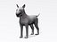 Bull terrier
