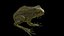 frog animations 3D model
