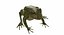 frog animations 3D model