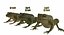 frog animations 3D model