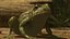 frog animations 3D model