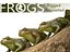 frog animations 3D model