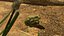 frog animations 3D model