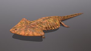 3D diplocaulus magnicornis