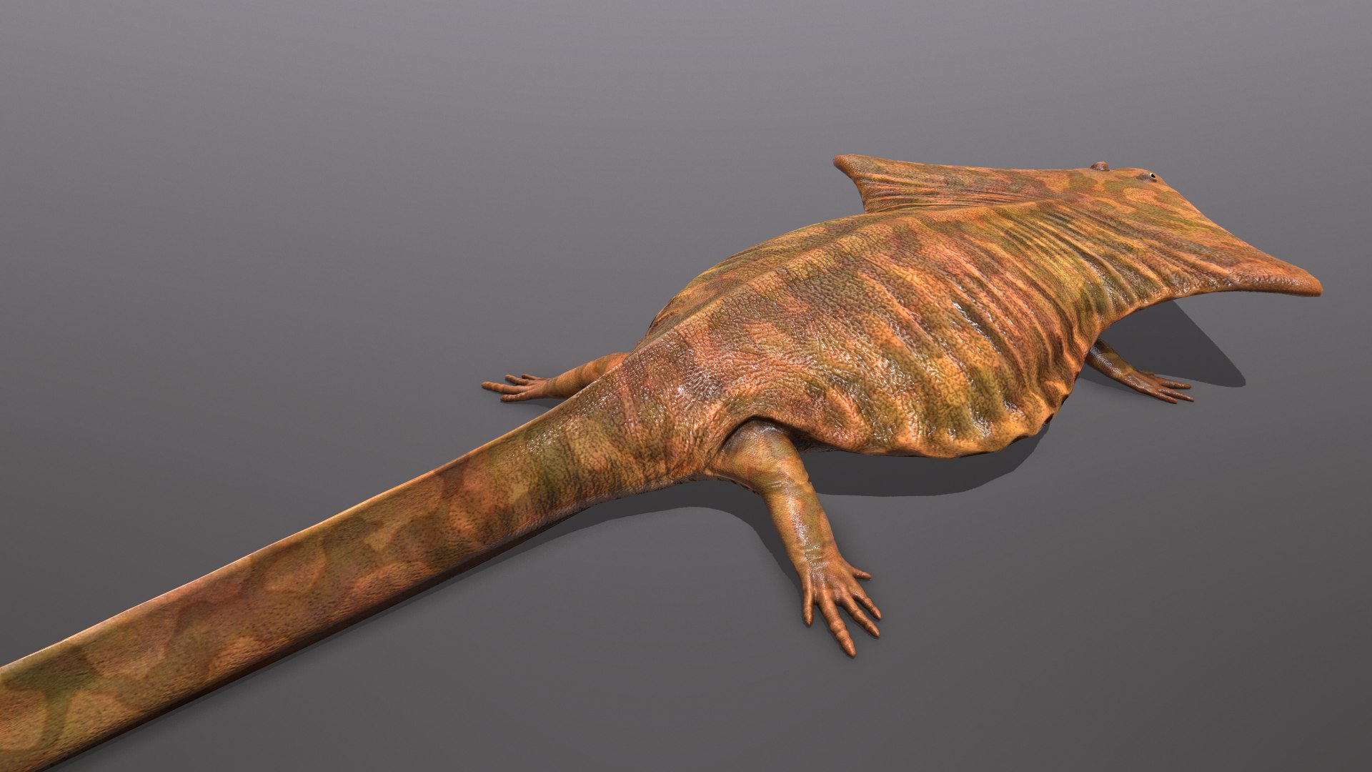 3D Diplocaulus Magnicornis - TurboSquid 1455433