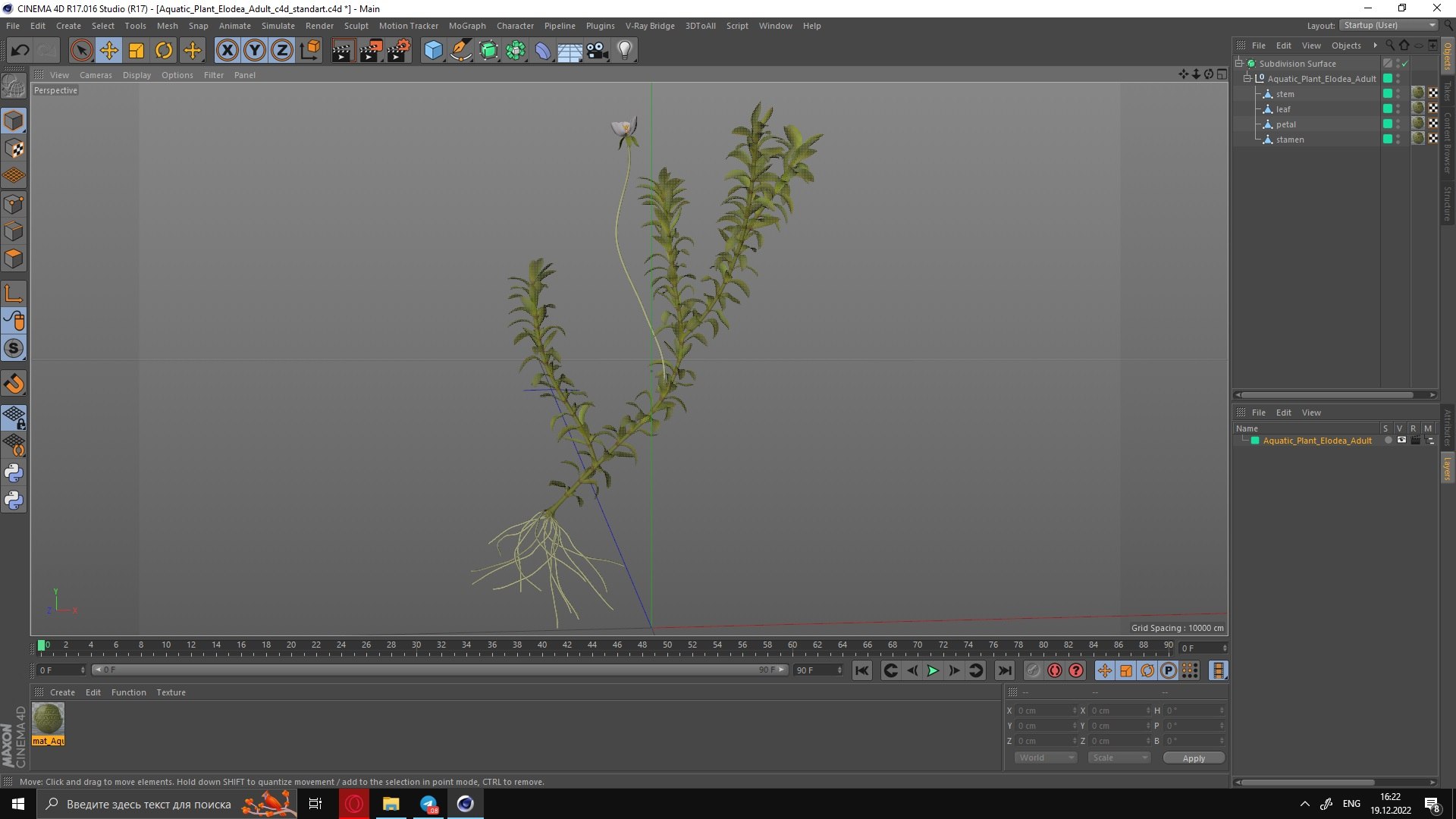 Aquatic Plant Elodea Adult 3D model https://p.turbosquid.com/ts-thumb/wN/Ot0f8x/Gk/aquaticplantelodeaadult3dsmodel035/jpg/1671775569/1920x1080/fit_q87/6611c880b8e2a11101442130f5f886e2047d3e20/aquaticplantelodeaadult3dsmodel035.jpg