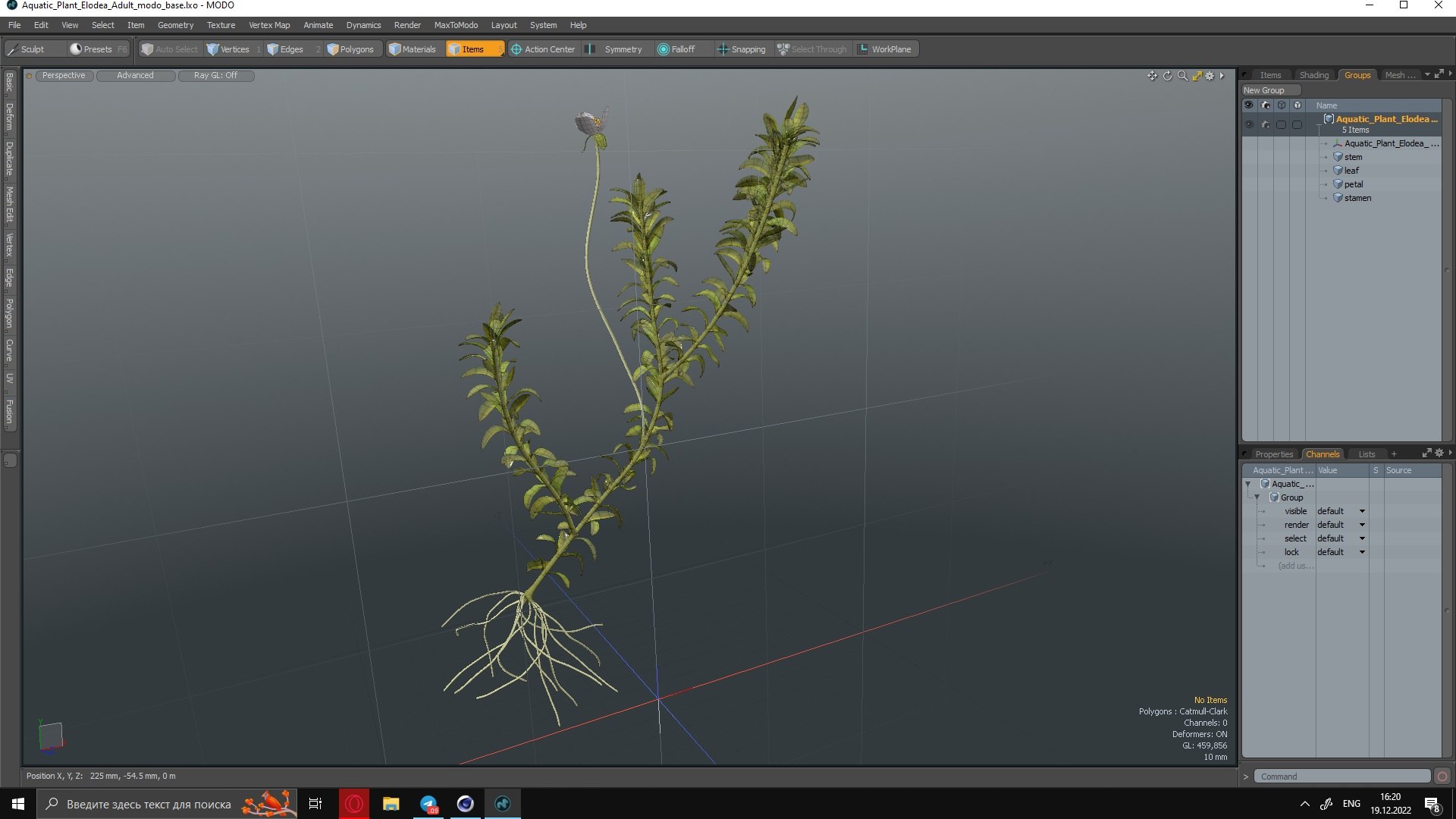 Aquatic Plant Elodea Adult 3D model https://p.turbosquid.com/ts-thumb/wN/Ot0f8x/KF/aquaticplantelodeaadult3dsmodel034/jpg/1671775566/1920x1080/fit_q87/6cc7d73010099975bba5097bde33c94103b31249/aquaticplantelodeaadult3dsmodel034.jpg