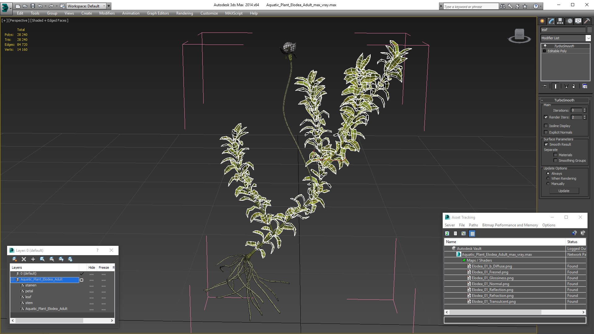 Aquatic Plant Elodea Adult 3D model https://p.turbosquid.com/ts-thumb/wN/Ot0f8x/dU/aquaticplantelodeaadult3dsmodel019/jpg/1671775540/1920x1080/fit_q87/d3cc09932b9fb154194e953ccde6e2d842ed6dce/aquaticplantelodeaadult3dsmodel019.jpg