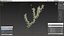 Wasserpflanze Elodea Adult