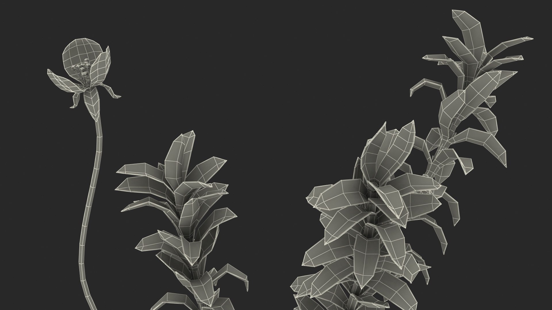 Aquatic Plant Elodea Adult 3D model https://p.turbosquid.com/ts-thumb/wN/Ot0f8x/lv/aquaticplantelodeaadult3dsmodel022/jpg/1671775552/1920x1080/fit_q87/8884967f02105c3a7d04d888cb7347a18406699a/aquaticplantelodeaadult3dsmodel022.jpg