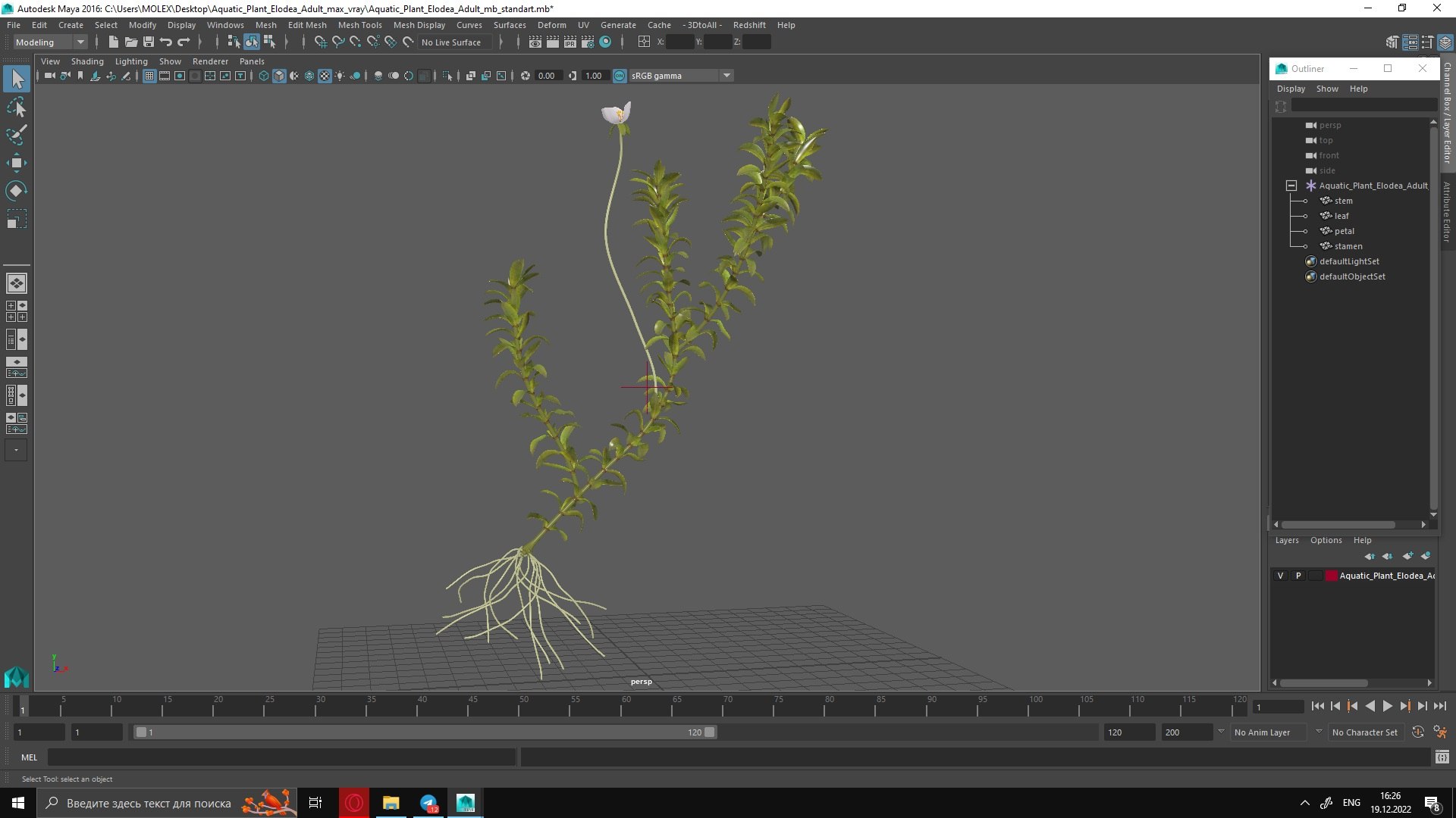 Aquatic Plant Elodea Adult 3D model https://p.turbosquid.com/ts-thumb/wN/Ot0f8x/na/aquaticplantelodeaadult3dsmodel036/jpg/1671775572/1920x1080/fit_q87/86735b724be2476f546a9a4870b9461247f6bee2/aquaticplantelodeaadult3dsmodel036.jpg