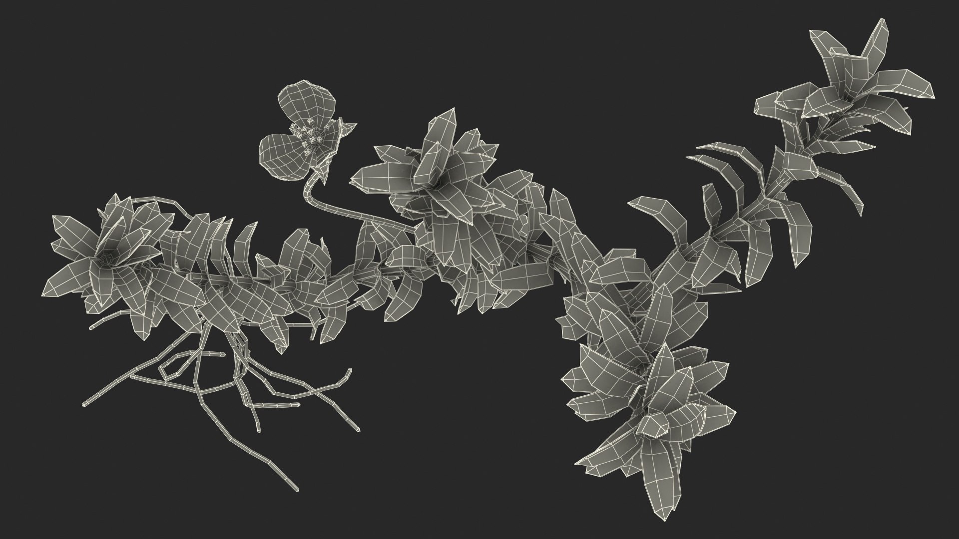 Aquatic Plant Elodea Adult 3D model https://p.turbosquid.com/ts-thumb/wN/Ot0f8x/oP/aquaticplantelodeaadult3dsmodel024/jpg/1671775559/1920x1080/fit_q87/346933f8bf5c9c77dea04a3b7aab756746e2b883/aquaticplantelodeaadult3dsmodel024.jpg