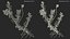 Wasserpflanze Elodea Adult