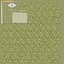 Wasserpflanze Elodea Adult