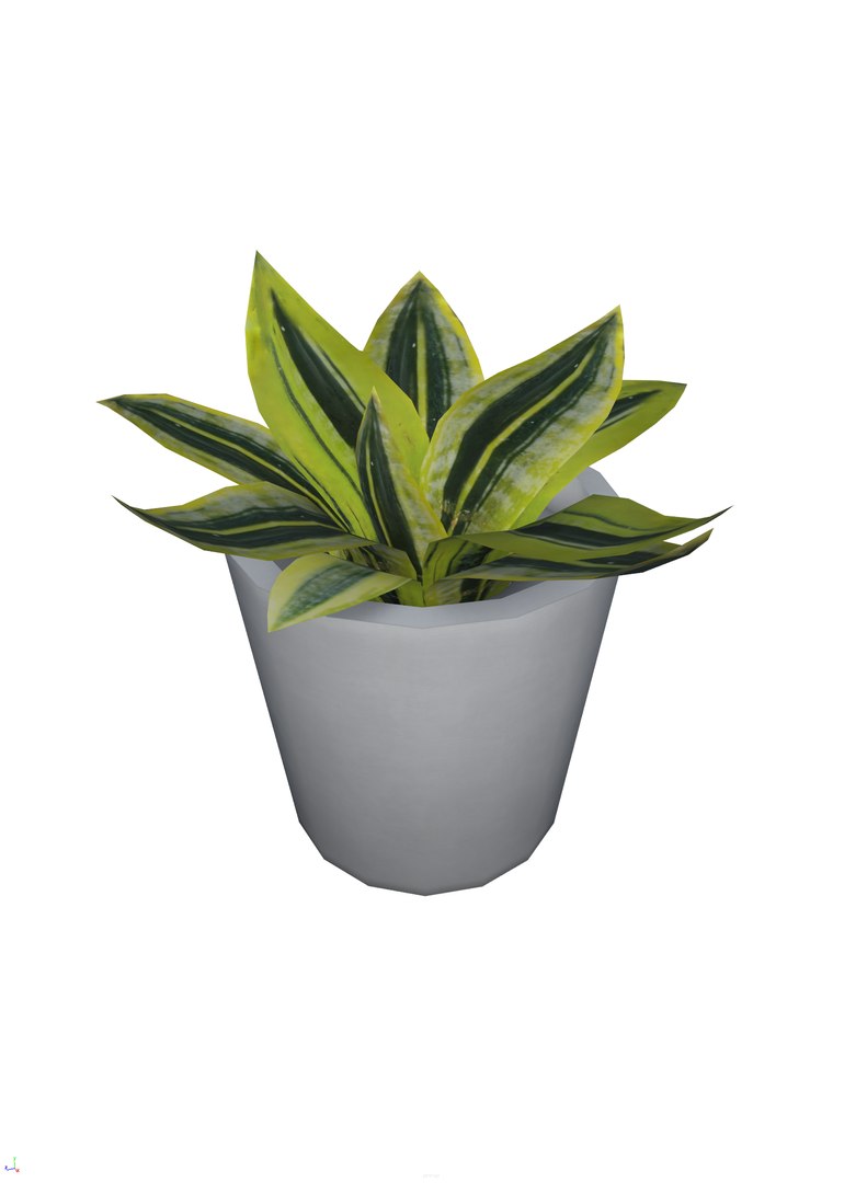 foliage plant pbr 3D model https://p.turbosquid.com/ts-thumb/wN/cYHMv1/30MGZBUS/plant_01.0003/png/1571213826/1920x1080/fit_q87/47ce6531600e5895bcdd4b6646842369c6c0b58c/plant_01.0003.jpg