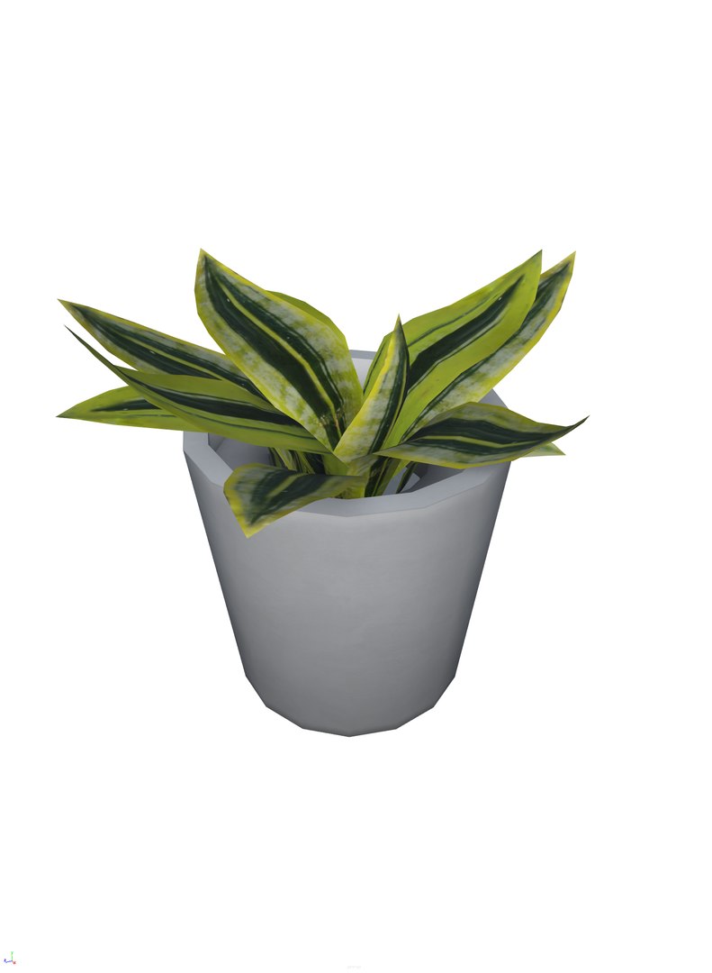 foliage plant pbr 3D model https://p.turbosquid.com/ts-thumb/wN/cYHMv1/6UFGgZTx/plant_01.0002/png/1571213811/1920x1080/fit_q87/6a61ddf0ede5c263e5f40d78f6645fe4a0a0642f/plant_01.0002.jpg