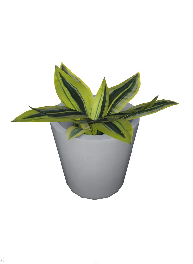 foliage plant pbr 3D model https://p.turbosquid.com/ts-thumb/wN/cYHMv1/C50Hs3YV/plant_01.0001/png/1571213800/1920x1080/fit_q87/9d3451746e0a54c91202a62807fabc54d425955d/plant_01.0001.jpg